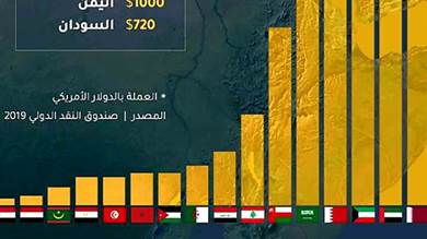 معدل دخل الفرد السنوي في الدول العربية 2019 «إنفوجرافيك»