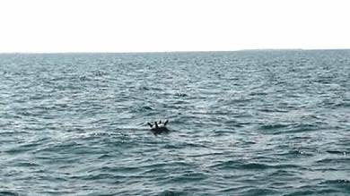 ​اكتشاف شبكة ألغام بحرية في جزيرة سيول حنيش