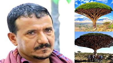 محمد سالم مدير عام الهيئة العامة لحماية البيئة في محافظة أرخبيل سقطرى