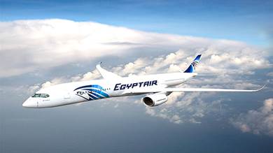 طائرة مصرية تتعرض لحادث في تونس