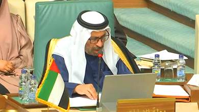 الإمارات: نتطلع لموقف عربي صارم ضد إرهاب الحوثيين