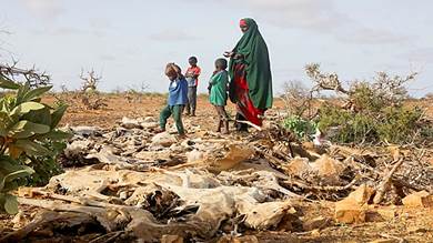 الأمم المتحدة: الصومال يواجه وضعا مقلقا للغاية