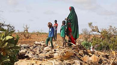 دوامة الجفاف تفاقم معانات الصومال