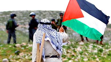الهموم العربية والقضية الفلسطينية
