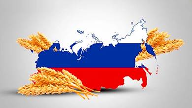 القمح الروسي يسجل تصدير قياسيا ودولة عربية من أكبر المستوردين