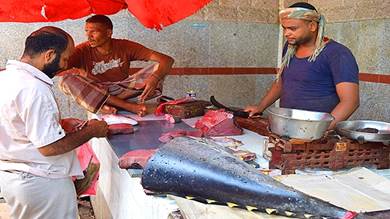 ارتفاع أسعار الأسماك في عدن يفاقم معاناة السكان