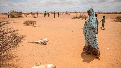 ​موت 6 أشخاص جوعا وعطشا في الإقليم الصومالي بإثيوبيا