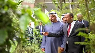 الإمارات تكشف عن إستراتيجية شاملة للعلاقة مع إثيوبيا
