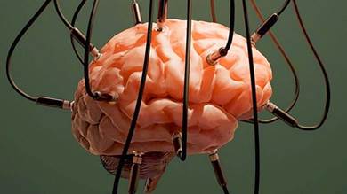 ​اختراع جهاز يحافظ على الدماغ حيًا أثناء فصله عن الجسم!