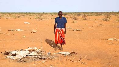 الصومال بين حربين الإرهاب والتغير المناخي