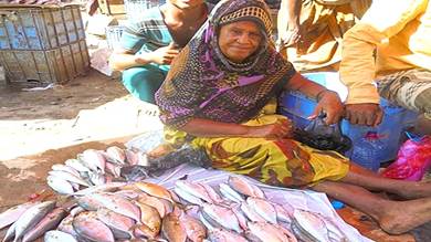 اقتحمت سوق السمك.. امرأة بلحج تعمل ببيع الأسماك منذ 50 عاما