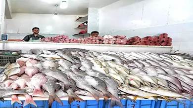 مباحثات يمنية عمانية لتنظيم الصادرات السمكية