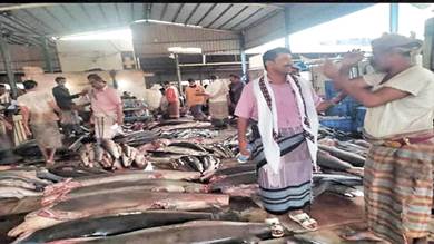 صناعة ميفعة تراقب أسعار الأسماك بسوق عزان