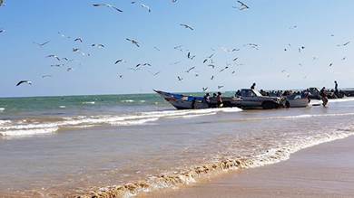 هيئة المصائد بالبحر العربي تناقش تنظيم مغادرة القوارب لرحلات الاصطياد