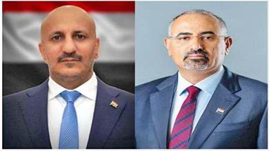 الزبيدي وطارق صالح يؤكدان دعم الجبهات والبنك المركزي